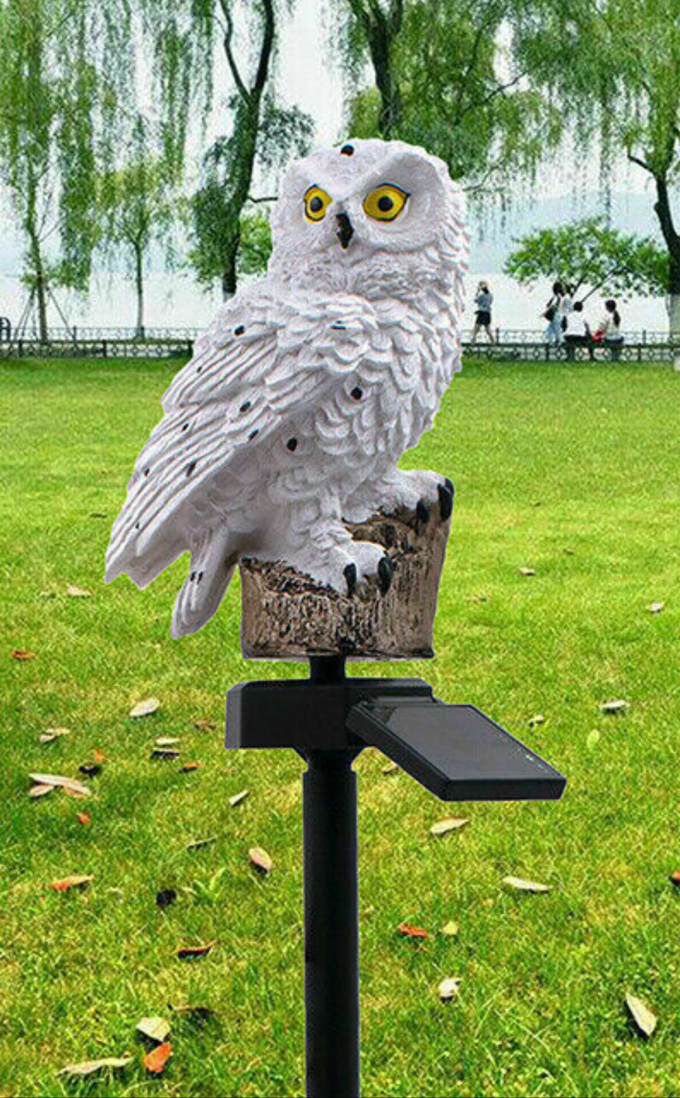 Solar powe LED Owl parrot lawn